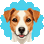 Fox Terrier